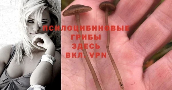 альфа пвп Майский