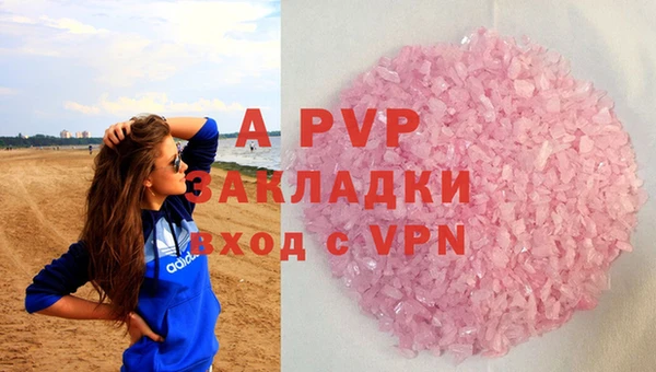прущая мука Корсаков