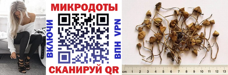 omg ссылки  сколько стоит  Трёхгорный  Галлюциногенные грибы MAGIC MUSHROOMS 