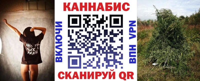 blacksprut ссылка Трёхгорный Бошки Шишки сатива наркошоп